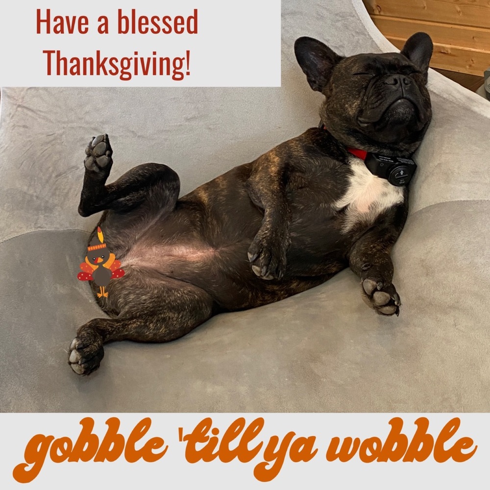Happy Thanksgiving from Rikkisratpack!